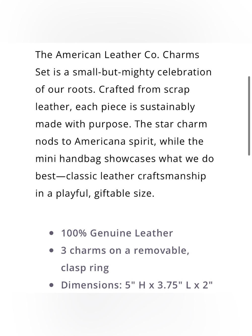 New NWT American Leather Co Charms set purse keychain blue star tiny bag cute - Picture 5 of 10